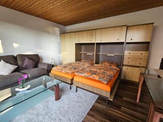 Hardy's Apartment Nordschwarzwald - 6