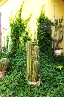 Rifugio San Bartolo - Gabicce Vallugola - 7