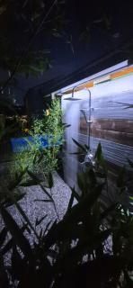 Owl's Nest - 1