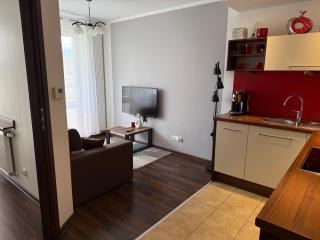 Apartament Dworcowa 8 z Widokiem na Szrenicę - 5D Apartments - Szklarska Poręba - 2