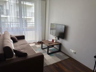 Apartament Dworcowa 8 z Widokiem na Szrenicę - 5D Apartments - Szklarska Poręba - 1