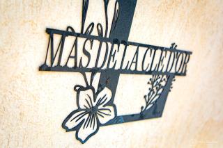Le Mas de la Clé d'Or - Maison en pierre et piscine - Puget-sur-Argens - 7