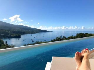 Villa Terre et Mer, vue mer et piscine, villa d'exception! - 0