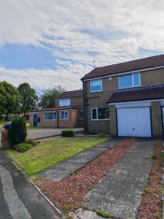 Kingston Park - Kenton - 1