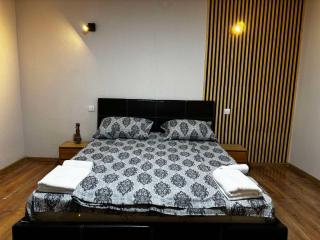 Apartmani Milja - Bajina Bašta - 1