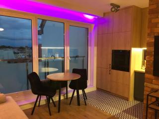 Apartament Loft Holiday Elbląg -winda-Parking w HALI GARAŻOWEJ -GRATIS-Business stays - Elblag - 8
