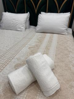 Luxury Apartment with Jacuzzi and Balcony - Yerevan - 5