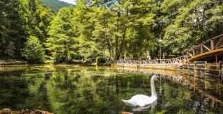 Air Urban Ilidza Sarajevo Free Parking and Near Airport - Sarajevo - 1