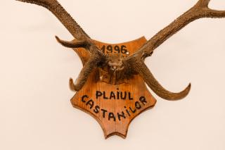 Agro-pensiunea "Plaiul Castanilor" - 2
