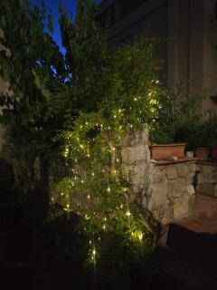 Les estrelles - 1