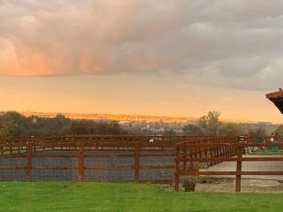 Farmhouse Apartment with Paddock & Orchard Views - - 7