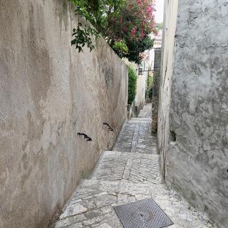 Casa Soraia nell'isola dei sogni - 9
