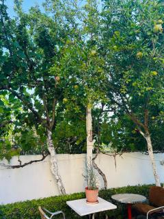 An Unforgettable holiday Home - Polisi i Vogël - 4