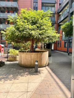 Stylish 1 bedroom flat fast transport links - London - 9