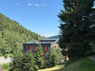 Apartmán Vlčice Residence 107, Pec pod Sněžkou - 8