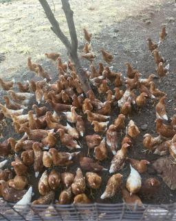 Reunion Vacations - Milk 'n Honey - Vosburg - 1