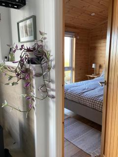 Pinelodge - - 8