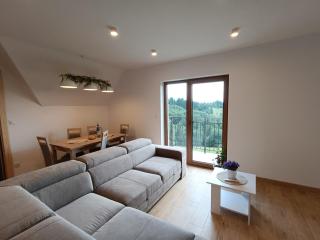 Apartament Kwiat Paproci - Gliczarów Górny - 4