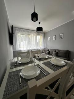 Apartament nad Nysą Kłodzką - 8