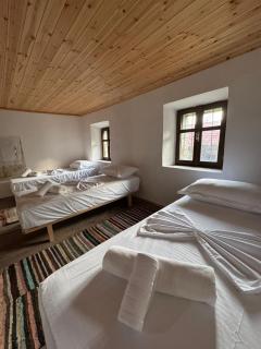 Mark Toma Guesthouse - - 7