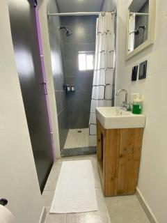 DGM Lofts GPE 6 cerca Estadio Rayados - 5