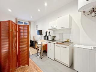 Functional apartment, Belleville, Paris 11 - 8