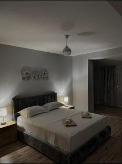 Tirana Relax Apartment - Tirana - 2