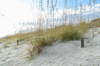 Coastal Beachfront Condo-King Bed, Updated - 5