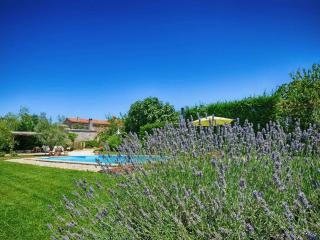 Holiday home in Tinjan - Istrien 52053 - Tinjan - 5