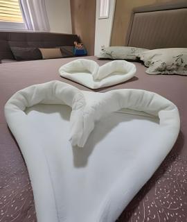 Confortável Flat Cavalinho Branco-Aguas de Lindoia - 7