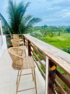 Borjs Mountain Mist - 4