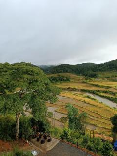 Măng Đen Farm Stay A Vũ - 0