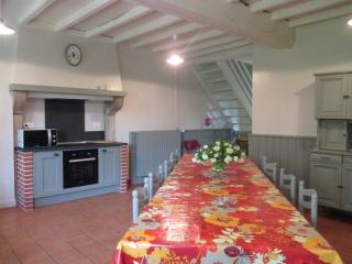 Grande maison en pierre avec jardin, animaux acceptés, proche des volcans - FR-1-489-198 - 1