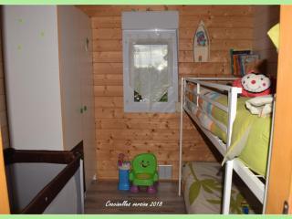 Charmants chalets au bord du lac avec terrasse, activités nautiques et pêche, animaux acceptés, tout inclus - FR-1-489-361 - Pierrefitte-sur-Loire - 7