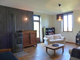 Maison de vacances moderne avec spa privatif et jardin à Chantelle - FR-1-489-482 - Chantelle - 9