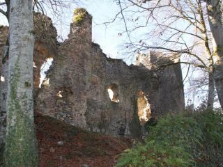 Maison confortable à Ferrières-sur-Sichon, animaux acceptés - FR-1-489-552 - 7