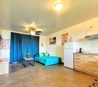 Teahupo'o Lodge Tahiti - Fare Terre et Mer - climatisé - canoe et paddle - 3