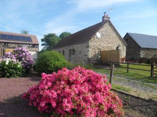 Maison écologique du XVe siècle avec jardin clos et garage, idéale pour une escapade paisible - FR-1-497-7 - La Baroche-sous-Lucé - 1