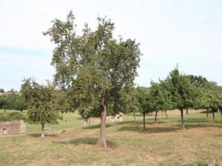 Maison Normande avec Jardin Clôturé, Cheminée et Options Confort, près de la Roche d'Oëtre - FR-1-497-141 - 8