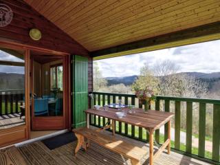 Chalet 35m² PMR avec Terrasse, 2 Chambres, Piscine, Activités de Plein Air, Animaux Acceptés - FR-1-496-243 - - 6