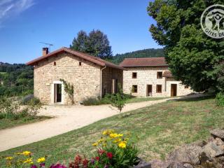 Gîte de charme avec cheminée, grand jardin et balades, animaux acceptés - FR-1-496-60 - Les Salles - 0