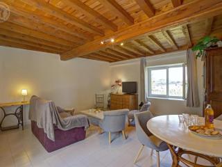 Gîtes confortables avec piscine, accueil animaux, cheminée, jardin - FR-1-496-140 - Belmont-de-la-Loire - 3