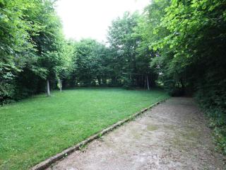 Gîte spacieux avec cheminée et animaux admis - FR-1-497-121 - 6