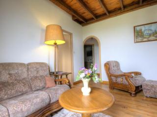 Gîte 80m² avec Terrasse, Wifi et Animaux Acceptés - FR-1-496-113 - 9