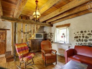 Gîte cosy avec jardin, terrasse ombragée, poêle à bois, et équipements bébé à Saint-Georges-Haute-Ville - FR-1-496-191 - Saint-Georges-Haute-Ville - 7