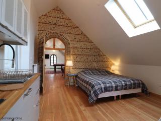 Maison de charme : piscine, sauna, salle de jeux, studio en option, idéal pour détente et sport - FR-1-497-140 - 1