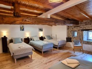 Gîte spacieux 10 pers: Nature, Spa, Confort - FR-1-496-358 - 8