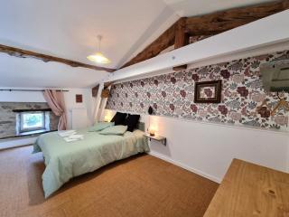Gîte spacieux 10 pers: Nature, Spa, Confort - FR-1-496-358 - Saint-Denis-sur-Coise - 7