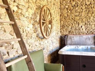 Gîte spacieux 10 pers: Nature, Spa, Confort - FR-1-496-358 - Saint-Denis-sur-Coise - 5