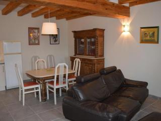 Gîte familial près de Chinon avec cour fermée, terrasse et équipements bébé - FR-1-381-370 - Huismes - 4